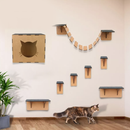 Circuito Gatos Zeelux