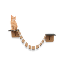 Circuito Gatos Zeelux